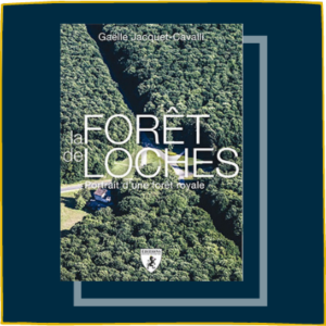 La forêt de Loches